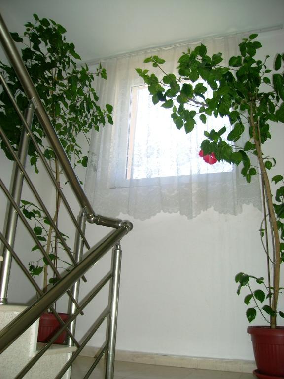 Guest House Jumbo Aheloi Exterior foto